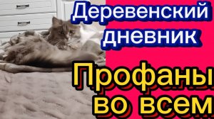 ДЕРЕВЕНСКИЙ ДНЕВНИК. "ПРОФАНЫ ВО ВСЕМ"