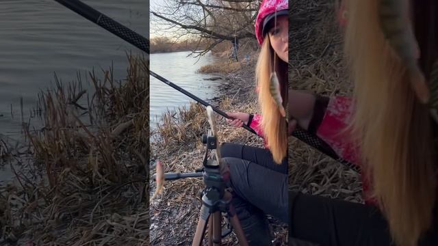 Часть 3. Рыбалка 29 марта 2025. Семково #shortvideo #fishing #rec #рыба смотреть онлайн