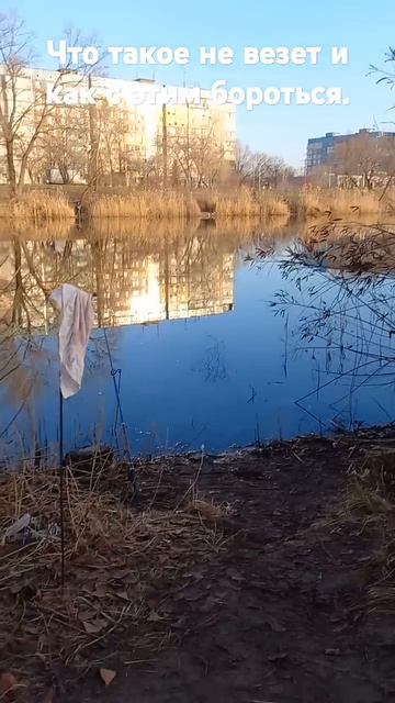 Не клюёт карась...  fishing