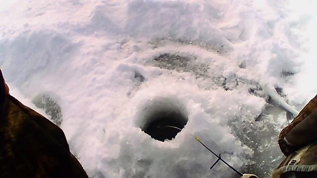 ШУШПАНСКОЕ ВОДОХРАНИЛИЩЕ//ТАМБОВСКАЯ ОБЛАСТЬ*поймал ?