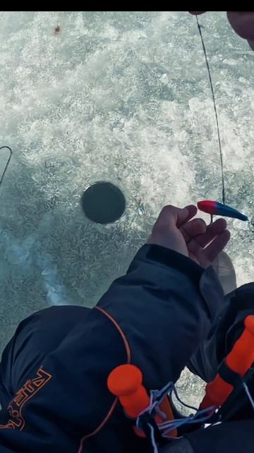 Щука атакует раттлин смотреть онлайн