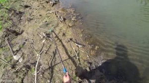 ПОСТАВУШКИ С ФЛАЖКАМИ или ЛЕТНИЕ ЖЕРЛИЦЫ! Ловля щуки н