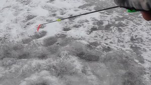 Зимние вертикальные блесны на окуня. Виды зимних блес?