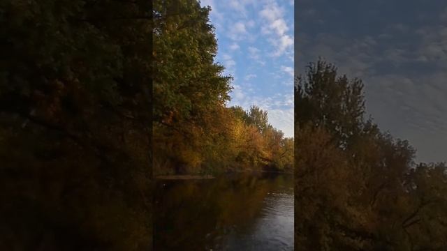 Щука (шнурок) на поппер Rapala. #рыбалка #лодка #аквамания # смотреть онлайн