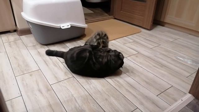 КАК ЗАРАБОТАТЬ 1000 000 рублей смотреть онлайн