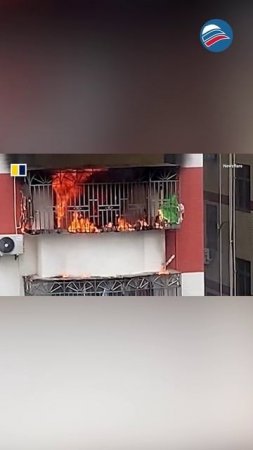Кот выжил, уцепившись за решетку балкона в охваченной огнем квартире