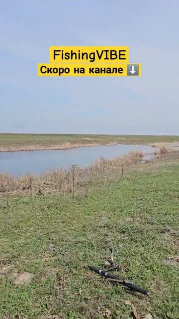 Рыбалка на удочку и спиннинг 2025 #казахстан #рыбалка #ре смотреть онлайн