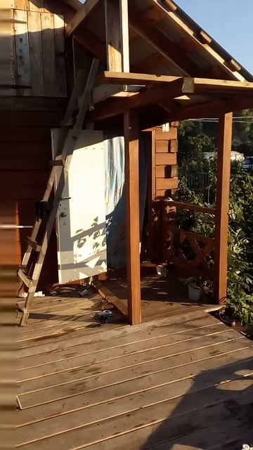 Бассейн Бествэй для дачи.Лучший бассейн для отдыха.На? смотреть онлайн