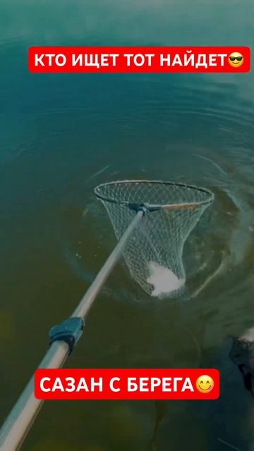 САЗАН НА ЖМЫХ #сазаннажмых #сазан#сазан2024#шардара#жуке смотреть онлайн