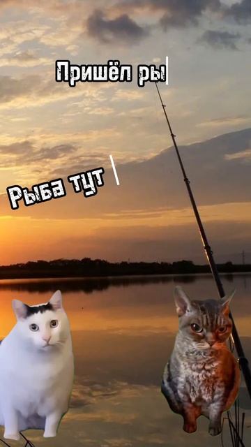 Случай на рыбалке... #гуляйполе #рыбалка #коты #мемы #при смотреть онлайн