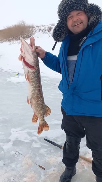 30 января 2025 г. смотреть онлайн