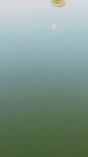 в путь на рыбалку хорошая погода. смотреть онлайн