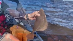 Рыбалка на Белом море🌊Ловим камбалу🎣Таких гигантов