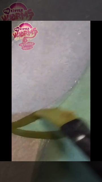 2 сезон 13 часть #mylittleworms #mylittlepony #вирус #комикс #картина # смотреть онлайн