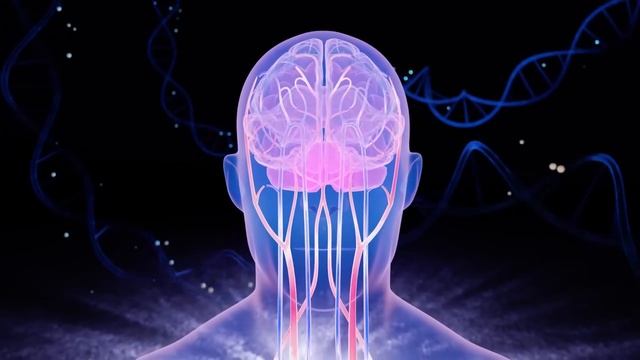 Сосуды головы