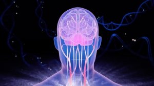 Сосуды головы