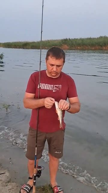 Река Маныч
