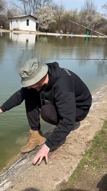 Ловля рыбы голыми руками 😂 смотреть онлайн