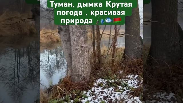 Дубль с одной точки,классное место,Гайна выдает🤣🇧🇾 смотреть онлайн