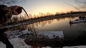 ОНА ВЕРНУЛАСЬ! Самая бюджетная катушка Cadence Ideal 1000MG. Ми?