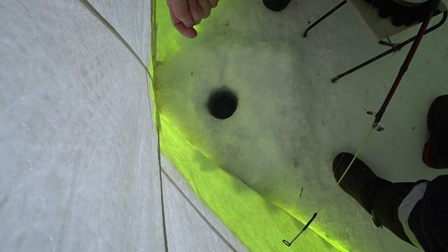 Дайва и омуль. смотреть онлайн