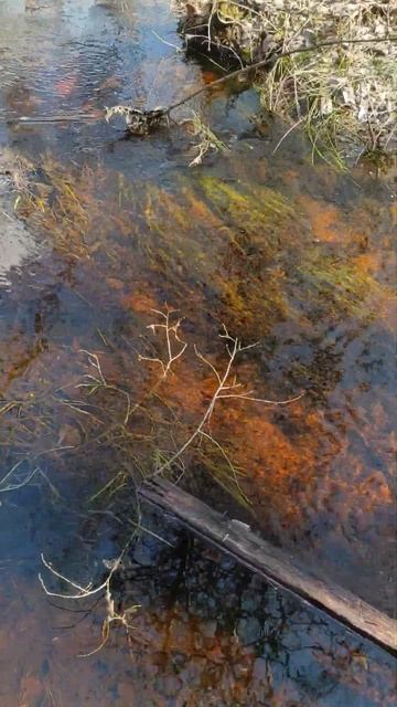 Весенний лесной ручей смотреть онлайн