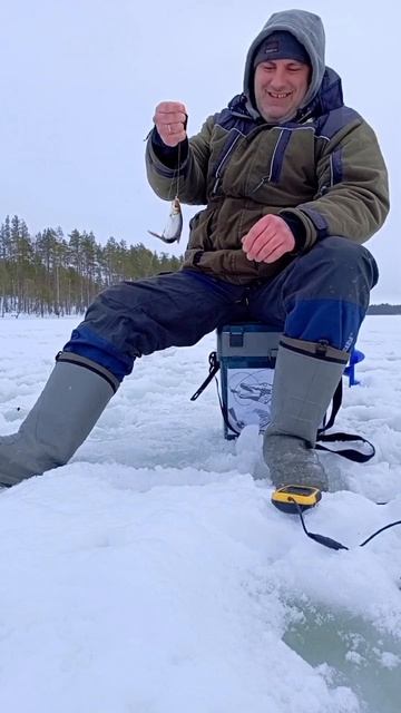 ловля плотвы часть 2. #карелия #природа #рыбалка #сегозе смотреть онлайн