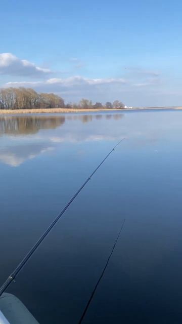 Добрался до рыбалки , тишина , солнышко , и на другом ви? смотреть онлайн