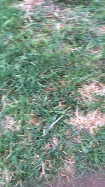 Есть камни и есть трава смотреть онлайн