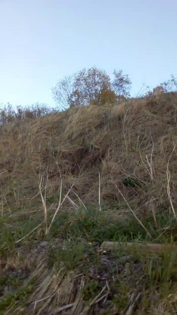 на рыбалке канал мишаня в мире животных смотреть онлайн