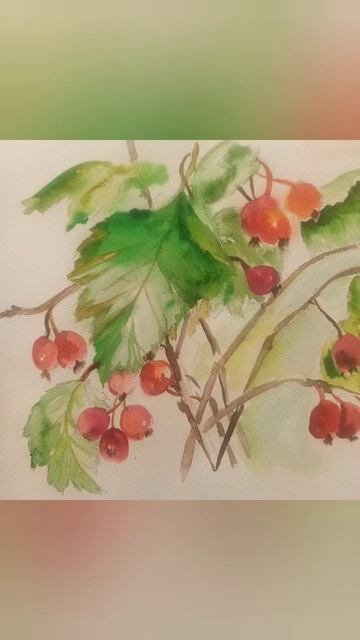 Акварельные зарисовки. Рисуем боярышник. #beautiful #красо? смотреть онлайн