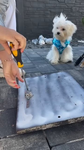 Рыбак вернулся домой. Рыбалка. #рыбалка #shorts смотреть онлайн