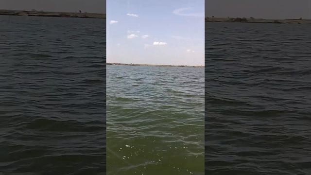 Маныч . Окунь на микруху