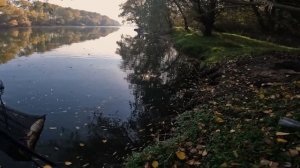 БЕШЕНЫЙ КЛЁВ САЗАНА в ноябре. На что ловить сазана в но