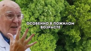 Питание от застоя желчи - простые продукты, которые лечат холецистит