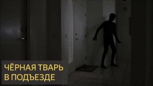 Чёрная тварь в подъезде (Мистическая история)