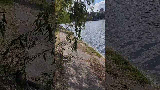 Прогулка по Донецку