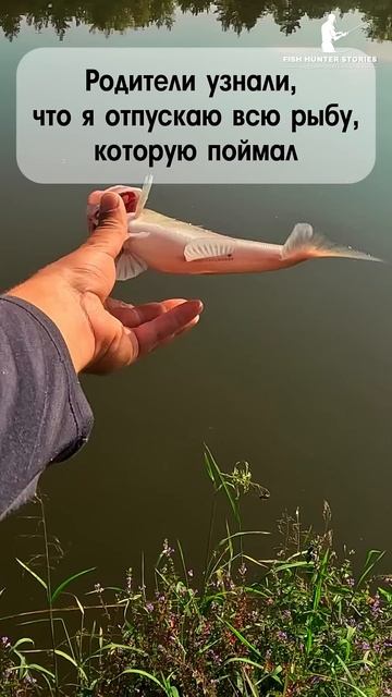 К - кормилец 🤣 #спиннинг #рыбалка #юмор смотреть онлайн