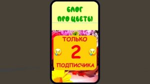 ХОМКИ ШОУ. СЕРИЯ 9. БЛОГ ПРО ЦВЕТЫ