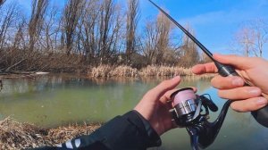 КЛЮЄ ЧИ НІ? Весняна ловля хижака: спінінг Favorite Black Swan на