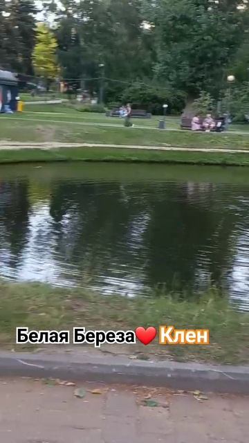 БелаяБереза❤Клен #жизнь смотреть онлайн