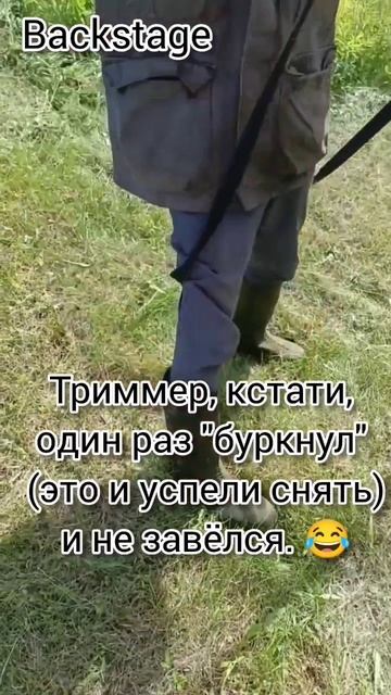 "НА ВСЕХ ОГОРОДАХ СТРАНЫ" #шортс #shortvideo #шорт #shorts #short #о? смотреть онлайн