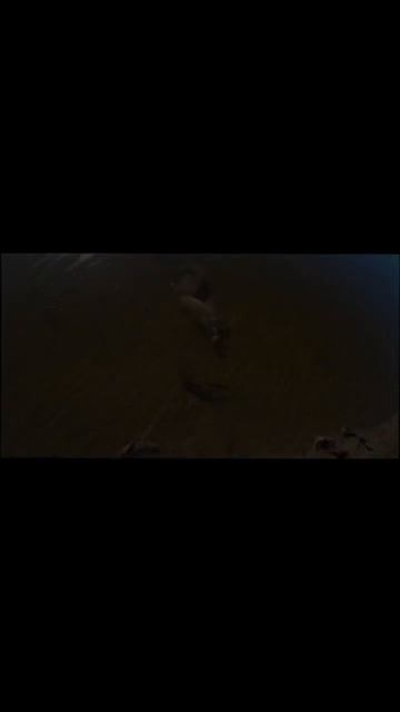 @AlwaysAloneNo1 #рыбалка #донки #рыбалканадонки #сазан сазан #? смотреть онлайн