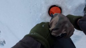 Снова ПЕРВЫЙ ЛЁД! СУДАК на ВИБЫ!