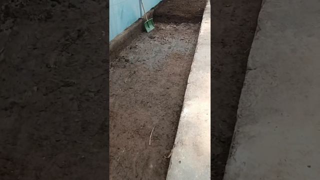 Биогумус 0557 31 31 58 смотреть онлайн