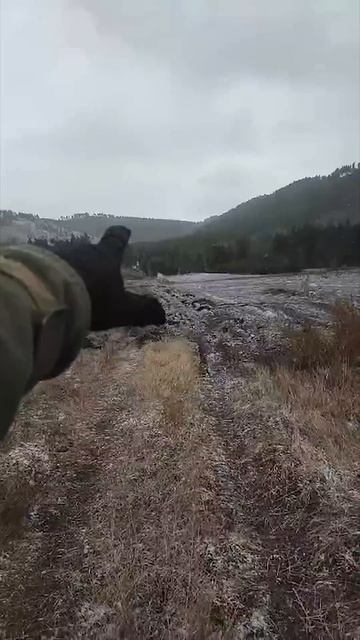 2000-й плуг ПС-3/35 отработал 1 сезон. Отзыв фермера. #ипсер? смотреть онлайн