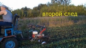 фрезеровка рапса на сидераты