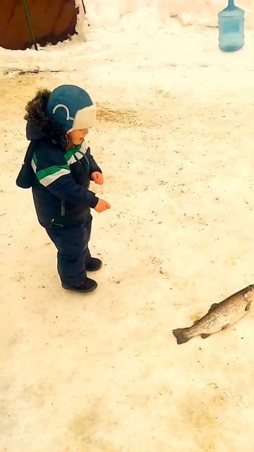 Форель , Саржин Яр Харьков рыбалка на источнике , зимо смотреть онлайн