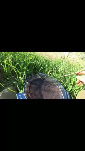 А ВЫ ПРОСЕИВАЕТЕ ПРИКОРМ? рыбалка2023  соревнования фи