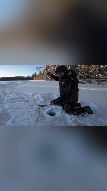 Сидит… |рыбалка в России | #fishing #рыбалка #shorts смотреть онлайн